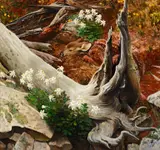 John Clymer, Peaceful Hideaway