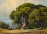 Percy Gray, California Oak Grove, watercolor on paper