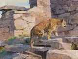 A Skeptic Entering the Temple by Bob Kuhn, 1998, acrylic on board, sold Jul 2015