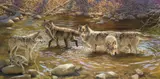 Bonnie Marris, Treasures of Crooked Creek