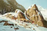Frank McCarthy, In the Pass