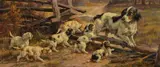 Edmund Henry Osthaus, Hunting Dog with Pups