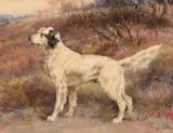 Edmund Henry Osthaus, Setter on Profile