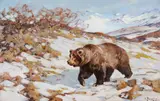 Alaskan Brown Bear by Carl Rungius, oil on canvas, sold Jul 2015