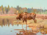 Moose in Marshland by Carl Rungius, 1915, oil on canvas, sold Jul 2015