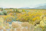 Gunnar Widforss, Desert, Arizona, watercolor on paper