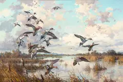 Harry Adamson, Autumn Reverie – Pintails, 1985, oil on canvas