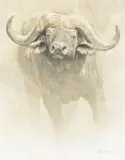Robert Bateman, Cape Buffalo Bull