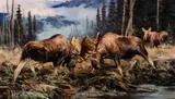 Ken Carlson, Combat and Courtship