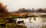 John Fery, Mallards