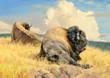 Nancy Glazier, Thunderhead, Oil on canvas