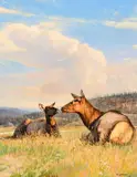 Nancy Glazier, Summer Skies, 1998, oil on canvas