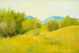 Elling William Gollings, Dana Ranch