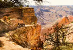 Clark Hulings, Grand Canyon, 1970, oil on canvas