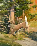 Francis Lee Jaques, The White-Tail Deer – Aristocrat of American Game, oil on canvas laid on board