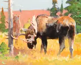 Bob Kuhn, Velvet Removal