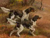 Edmund Henry Osthaus, English Setters