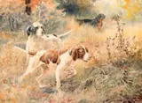 Edmund Henry Osthaus, The Hunters