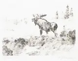 Carl Rungius, Morning Mist, Etching & Drypoint
