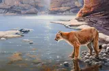 John Seerey-Lester, Canyon Creek Cougar, 1987, oil on canvas