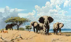 Keith Shackleton, Elephants, 1965, oil on board