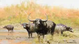 David Shepherd, Indian Water Buffalo, 1987, oil on canvas