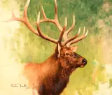 Tucker Smith, Elk Head, 2001, oil on canvas