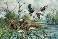 Harry Adamson, Ballet – Black-Bellied Whistling Ducks, 1984, oil on canvas