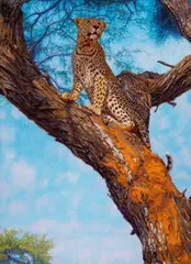 John Banovich, Approaching Masai, 2013, oil on canvas