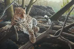 Steve Burgess, Tranquility, 2013, oil on board