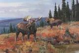 Ken Carlson, Stretch of Wilderness, 2013, oil on board