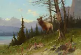 John Fery, Elk in the Mountains