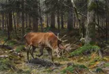Richard Friese, Deer in a Forest Glade, 1912, oil on canvas