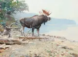 Philip Russell Goodwin, Moose at Lake McDonald