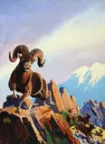 Lynn Bogue Hunt, Bighorn Sheep, oil on canvas