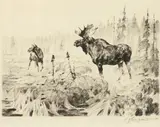 Carl Rungius, Near Long Lake