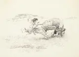 A Tail-Hold on a Buffalo by Charles Marion Russell, circa 1925, pen & ink on paper, sold Jul 2013