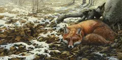 John Seerey-Lester, Red Fox, 1984, oil on canvas