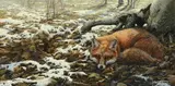 John Seerey-Lester, Red Fox, 1984, oil on canvas