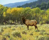 Tucker Smith, Antlers and Aspens, 1998, oil on canvas