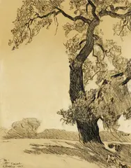 The Oak Tree by Maynard Dixon, 1927, charcoal on paper, sold Jul 2012