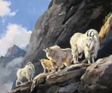 Luke Frazier, On Granite Cliffs