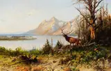 John Fery, Elk at Jackson Lake, Wyoming