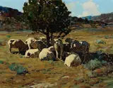Frank Tenney Johnson, Siesta Hour