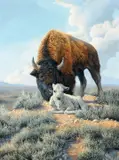 Bonnie Marris, The Gift