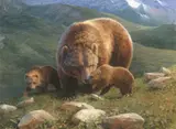 Bonnie Marris, Mountain Mama