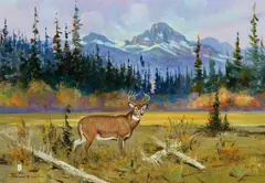 Ace Powell, Glacier Park Deer, 1978, oil on canvas