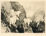 Carl Rungius, Goats