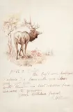 Charles Marion Russell, Hello Dutch [or] The Bull Was Heap Good