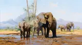 David Shepherd, Elephants' Playtime, 1984, oil on canvas